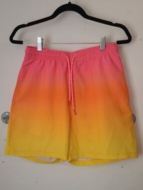 Public Record Swim Trunks